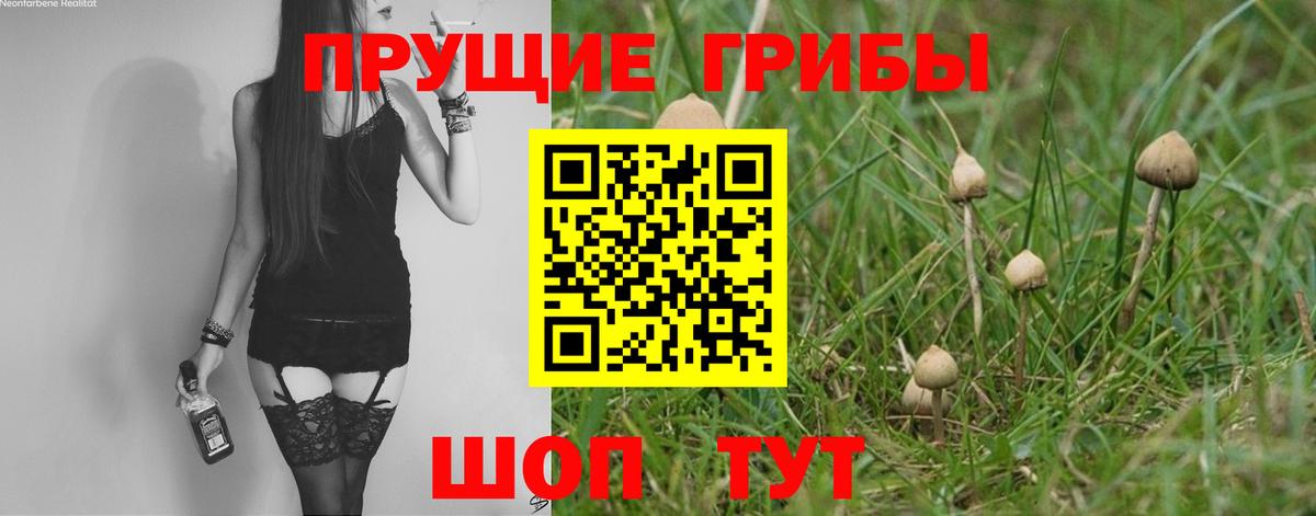 Галлюциногенные грибы GOLDEN TEACHER Москва