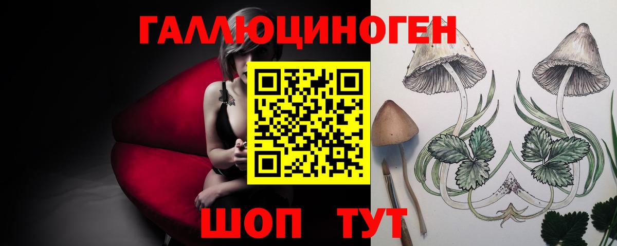 Москва  Псилоцибиновые грибы Psilocybe  Вход с VPN  Псилоцибиновые грибы мицелий 